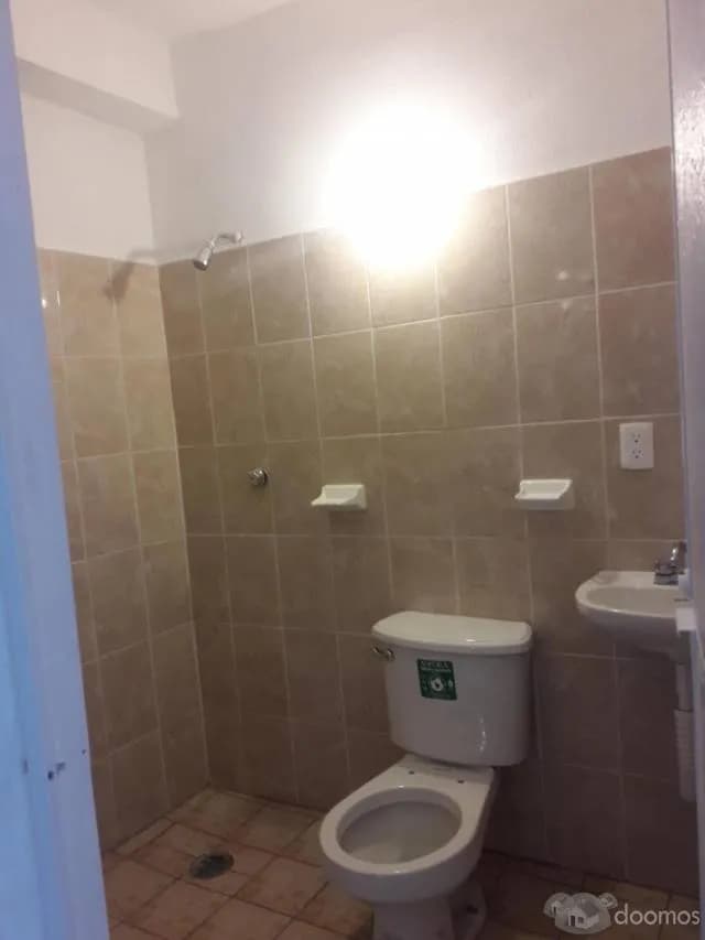 Alquilo Departamento - Los Olivos, Izaguirre — foto 3