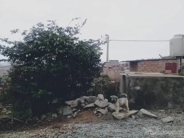 Venta de terrenos de 100 a 200 m2 — foto 2