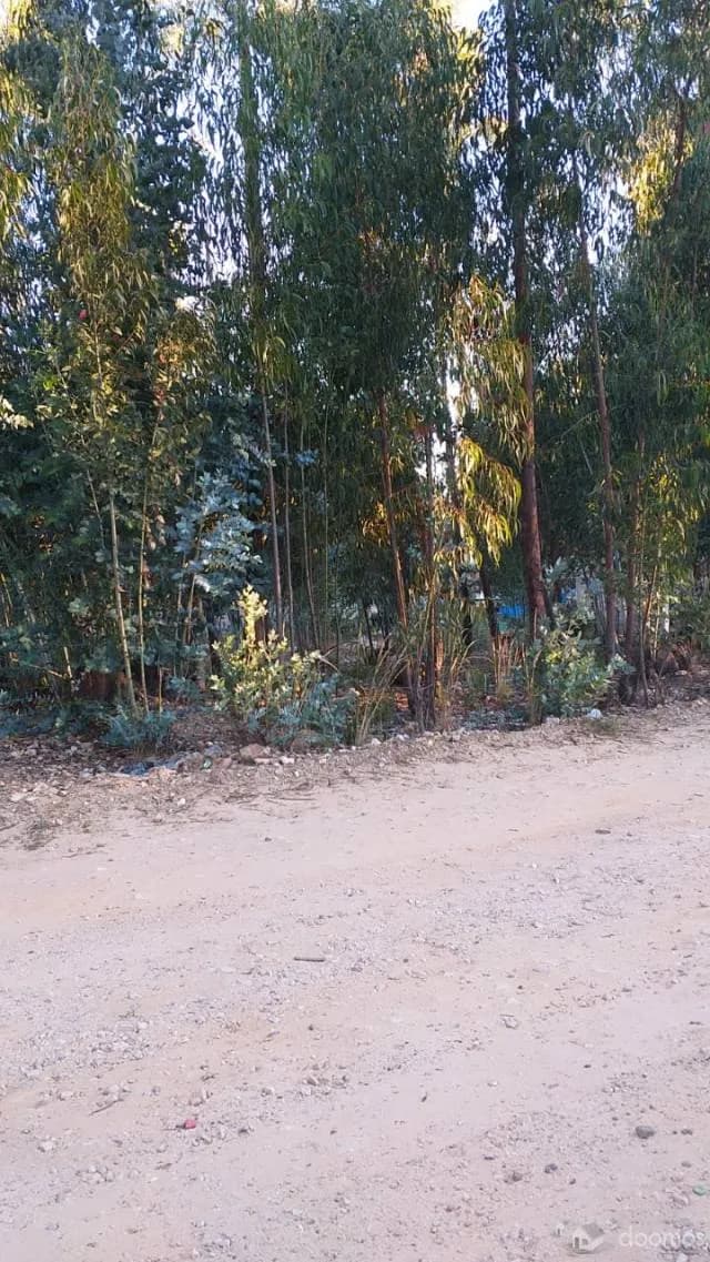Vendo lote de terreno — foto 1