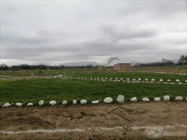 Terrenos en Motupe - áreas extensas — foto 3