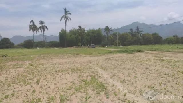 Terrenos en Motupe - áreas extensas — foto 4