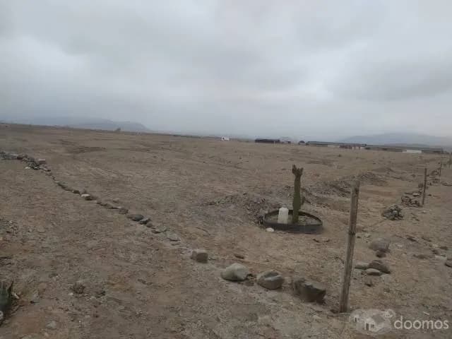 TERRENOS AGROINDUSTRIALES   GRANDES DESDE 1300 M2 — foto 2