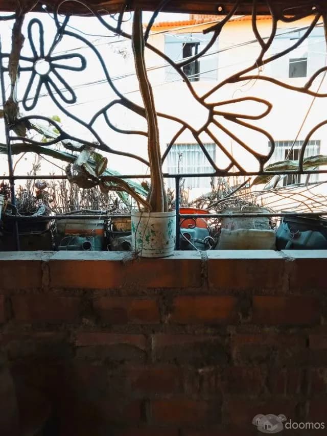 Venta de casa con plano + título de propiedad en el distrito de Mi Perú — foto 7
