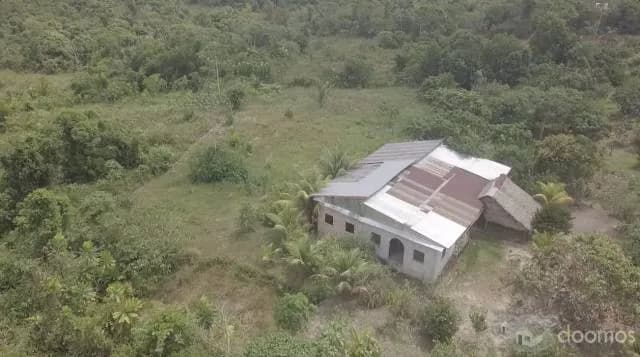Venta de  propiedad de 8 Has Título , panales de abejas  $ 200,000 — foto 3