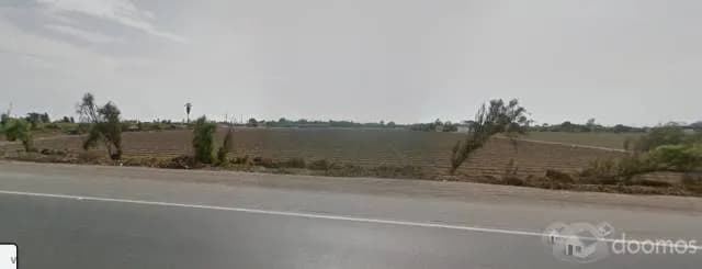 0800590600 — foto 2