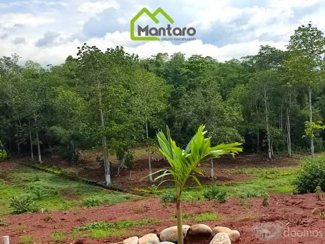 Lotes en Tarapoto - Villa Paraiso -Mantaro Inmobiliaria — foto 3