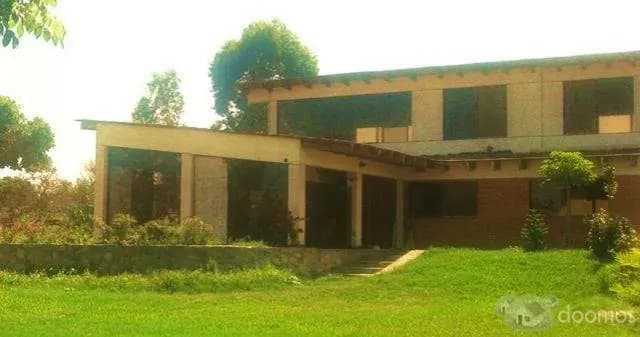 Alquiler 2 propiedades - Pachacamac Excelente ubicación!! — foto 2