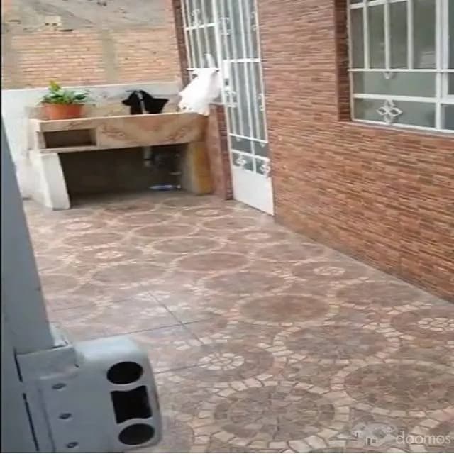 VENTA DE DEPARTAMENTO EN LA MEJOR ZONA DE SAN MARTIN — foto 5