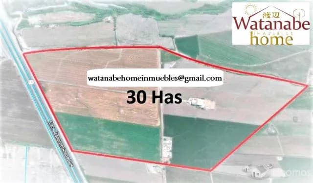VENDO TERRENO. AREA - 30 HECTAREAS * CAÑETE - LIMA — foto 3