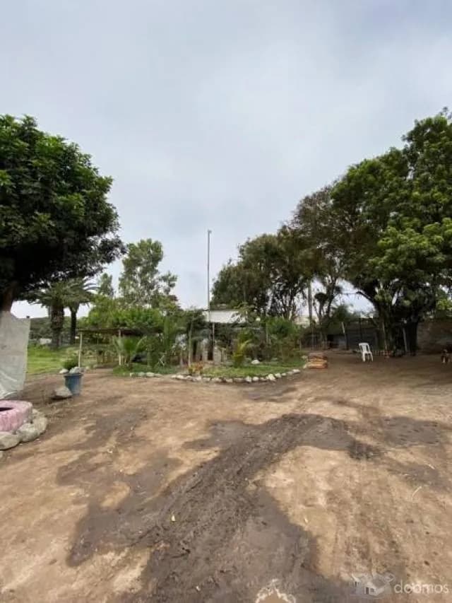 Terreno 20,510 m², Lurín — foto 1