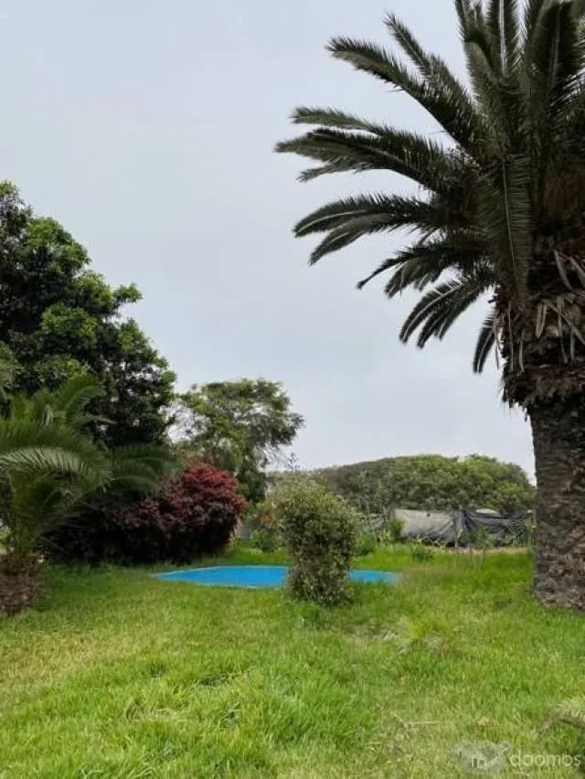 Terreno 20,510 m², Lurín — foto 6