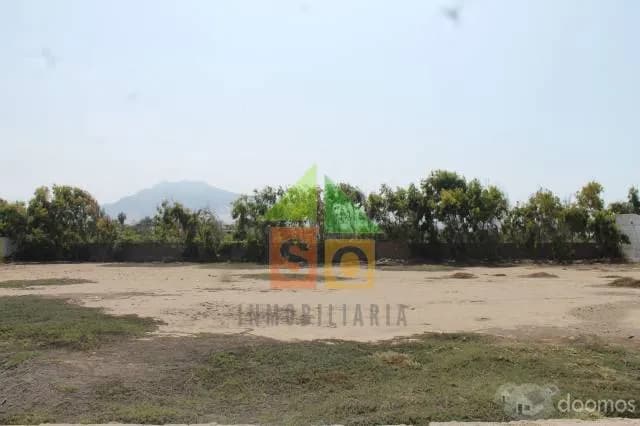 Terreno en El Palmar — foto 1