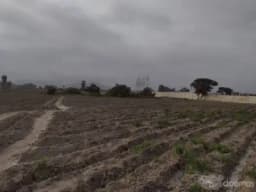 Se vende terreno de 500 metros en Chancay.
