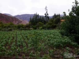 Terreno de 4890 m2 en el Valle Sagrado de los Incas. Yanahuara - Urubamba. BAJO DE PRECIO!