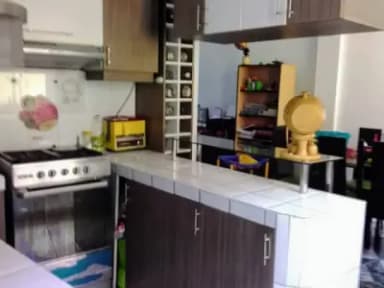 Miniatura 10