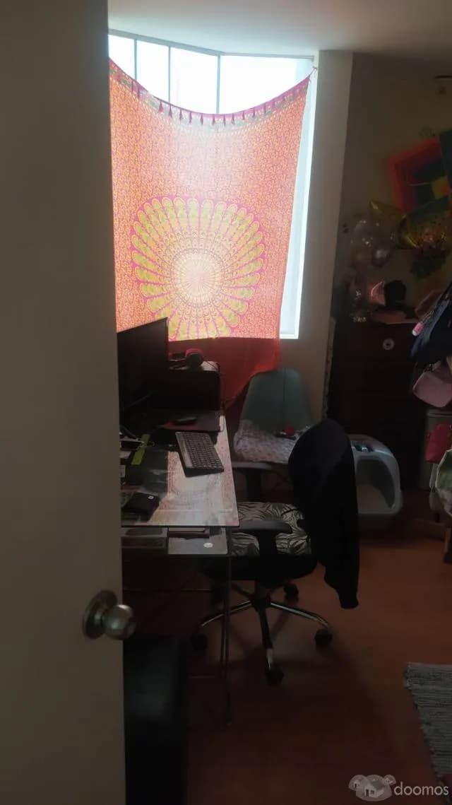 Alquilo hermoso departamento en Pueblo Libre — foto 6