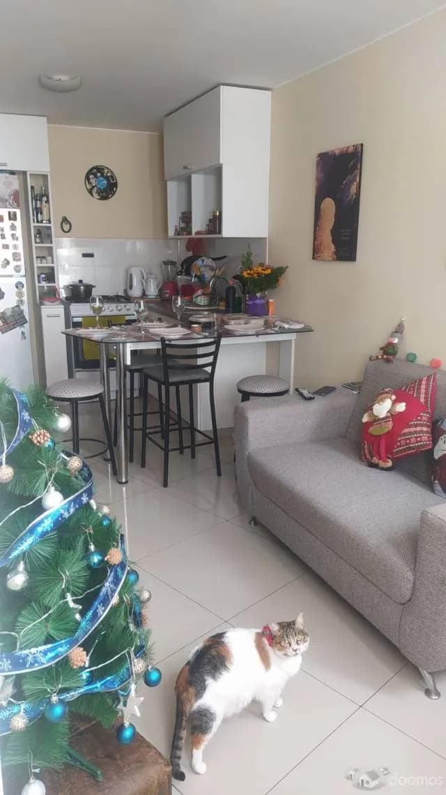 Alquilo hermoso departamento en Pueblo Libre — foto 7