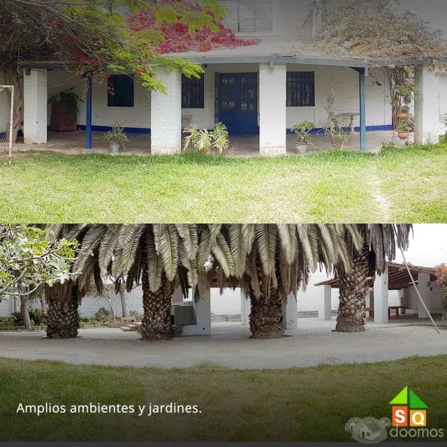 Gran Local Comercial en Carretera Panamericana Sur — foto 3