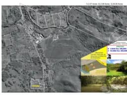 TERRENOS  EN  VENTA OXAPAMPA