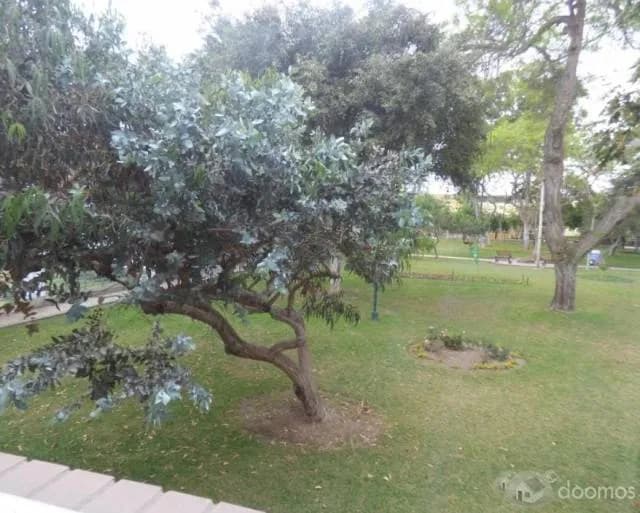 ALQUILO DEPARMANETO EN MIRAFLORES — foto 4