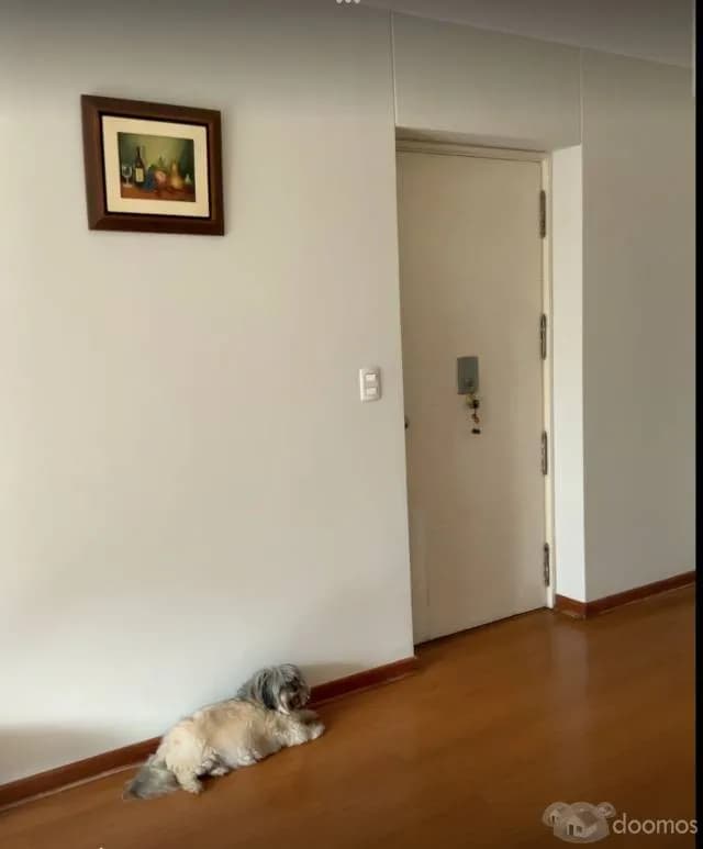 Venta departamento San Isidro limite con Magdalena area 105M2 — foto 3