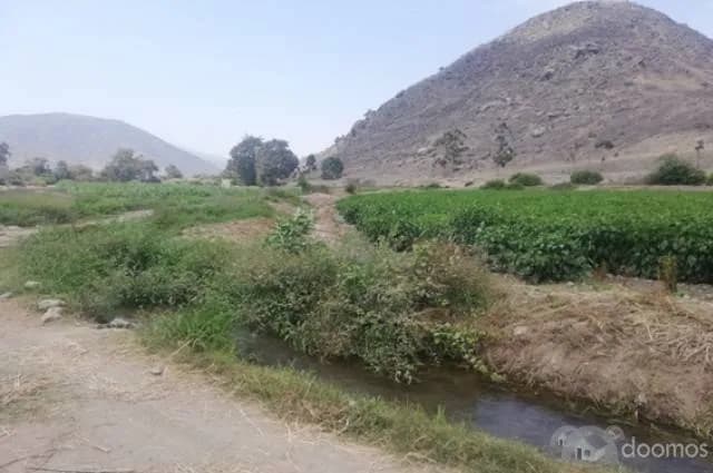 VENTA TERRENO PACHACAMAC, TOMINA, 14 000m2 aprox. — foto 8