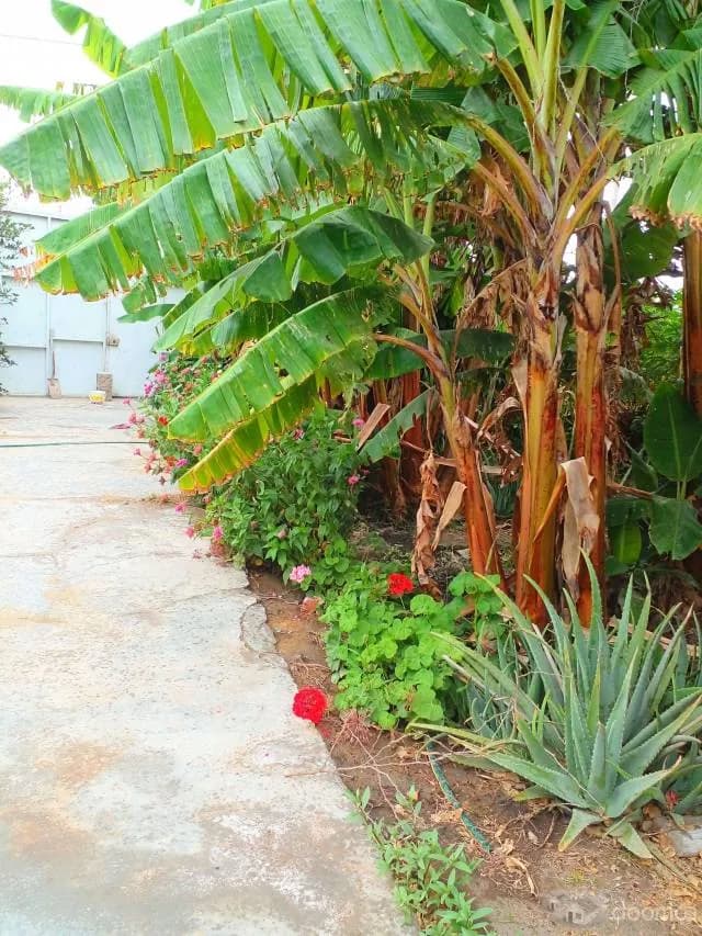 VENTA DE TERRENO 270 M2 — foto 4