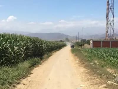 FRUCTÍFERA PARCELA 4 HAS. EN CAÑETE!