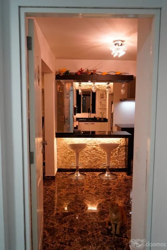 DEPARTAMENTO EN VENTA - SAN LUIS - URB. VILLA JARDÍN - LIMA, PERÚ — foto 2