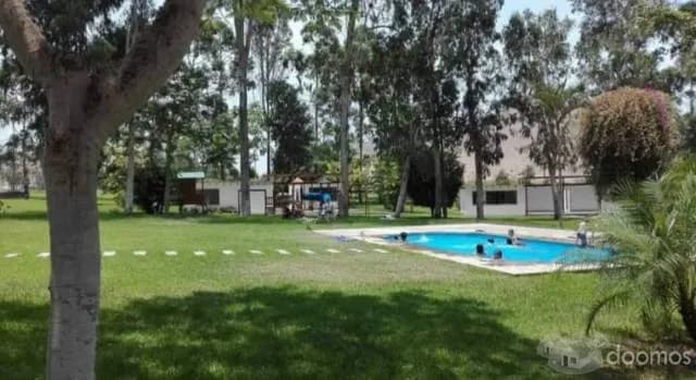 Venta de Lote Km 75 Panamericana Sur — foto 5