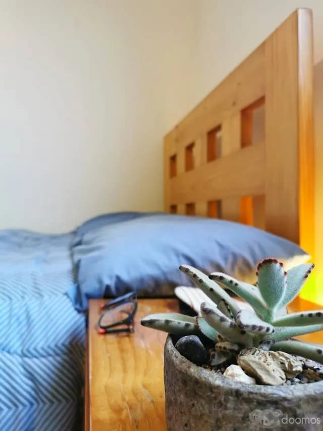 HABITACION EN TRIPLEX CERCA PARQUE KENNEDY (MIRAFLORES) — foto 7