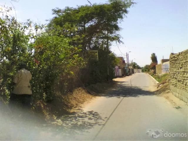 Venta Terreno en Grocio Prado Chincha cerca a Centro Comercial — foto 2