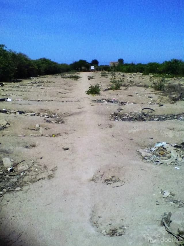 Venta Terreno en Grocio Prado Chincha cerca a Centro Comercial — foto 3