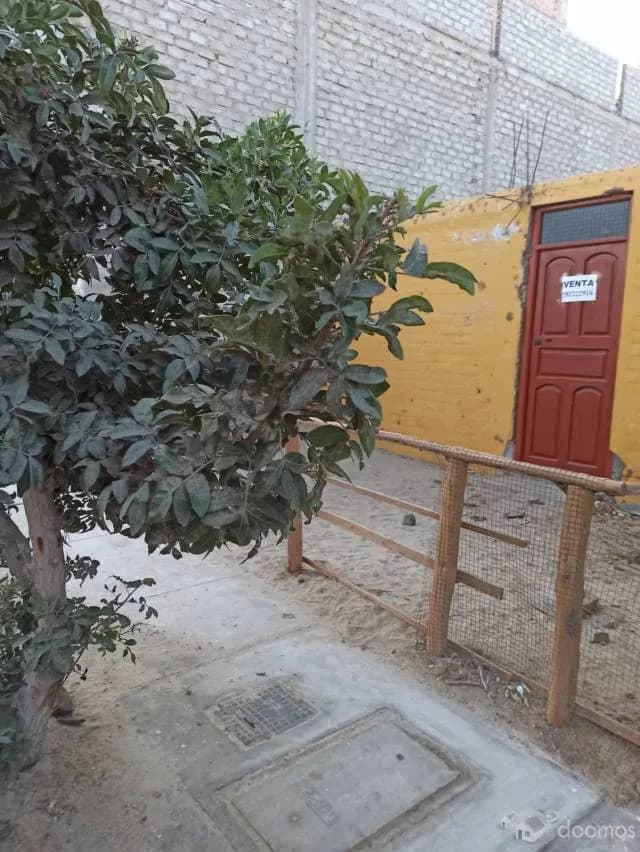 VENTA DE CASA COMO TERRENO EN NUEVO CHIMBOTE cel 981222519 — foto 2