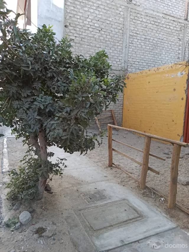 VENTA DE CASA COMO TERRENO EN NUEVO CHIMBOTE cel 981222519 — foto 4