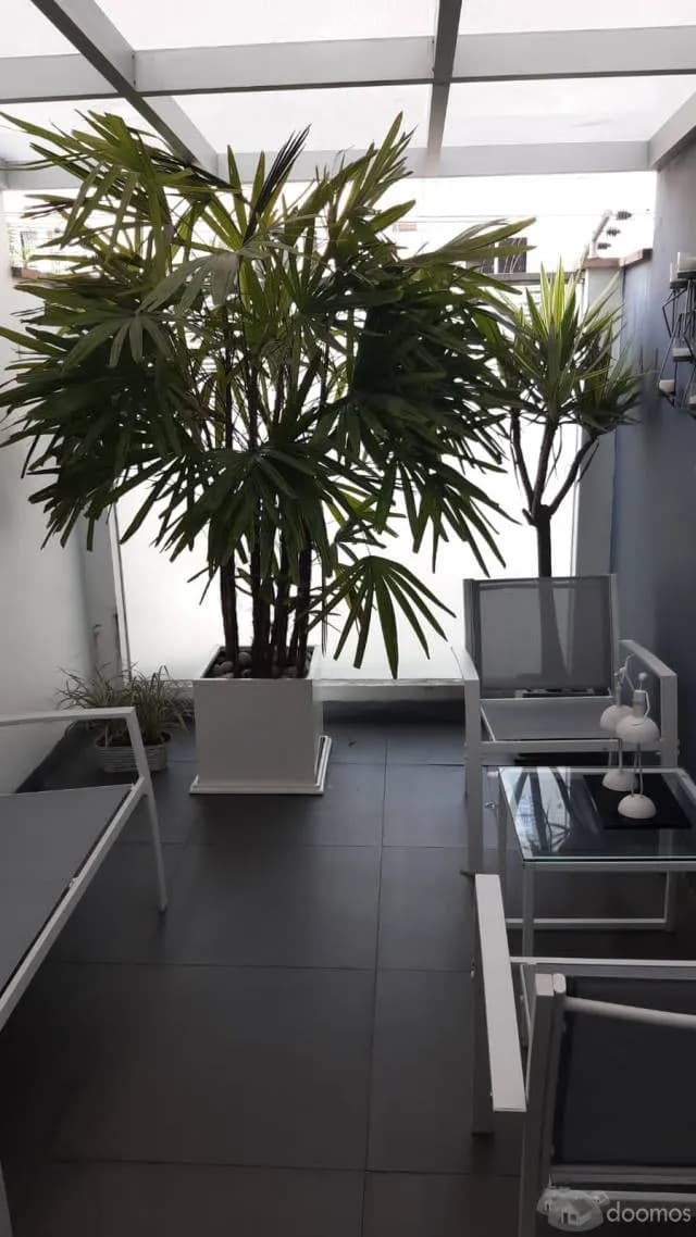 alquiler departamento miraflores — foto 4