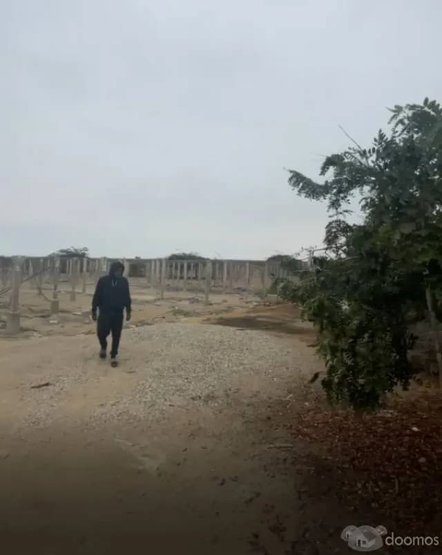 Venta de Terreno en Chicha, Ideal Proyecto, a 5 Min. de Plaza — foto 2