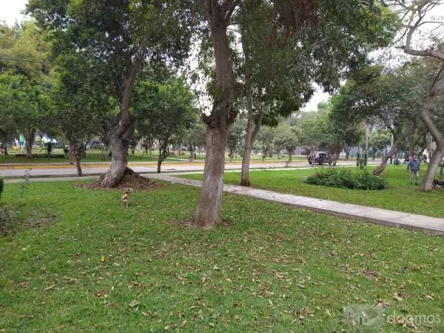 alquiler duplex surquillo — foto 11