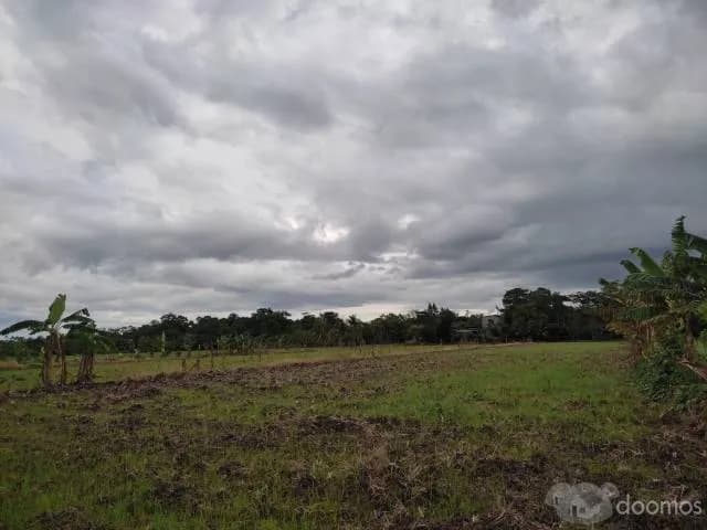 Se Vende Terreno Eco - Turístico 2.5 Ha — foto 3