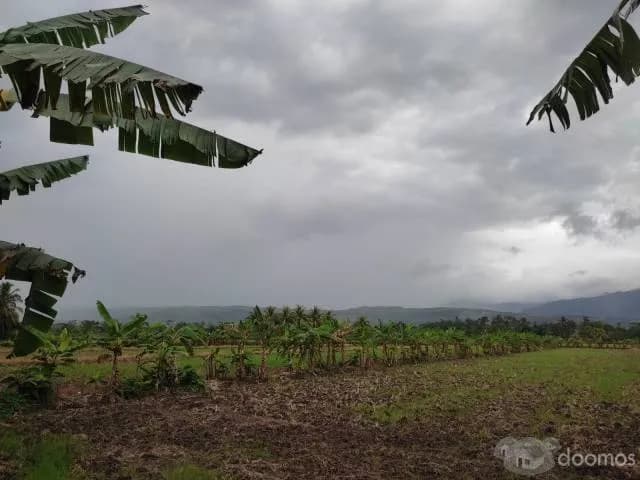 Se Vende Terreno Eco - Turístico 2.5 Ha — foto 4