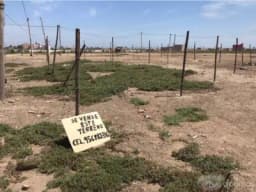 Terreno en Oferta