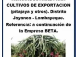 VENDO TERRENO ZONA DE EXPANSIÓN AGROINDUSTRIAL PARA CULTIVO DE EXPORTACIÓN PITAJAYA  DISTRITO JAYANCA LAMBAYEQUE