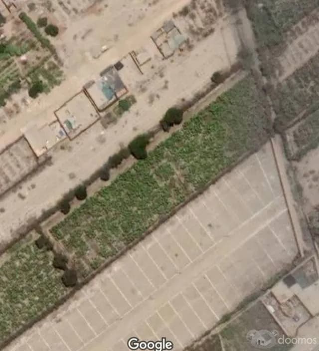 Venta de Terreno 3400M2, tiene viñedos, Grocio Prado, Chincha — foto 5