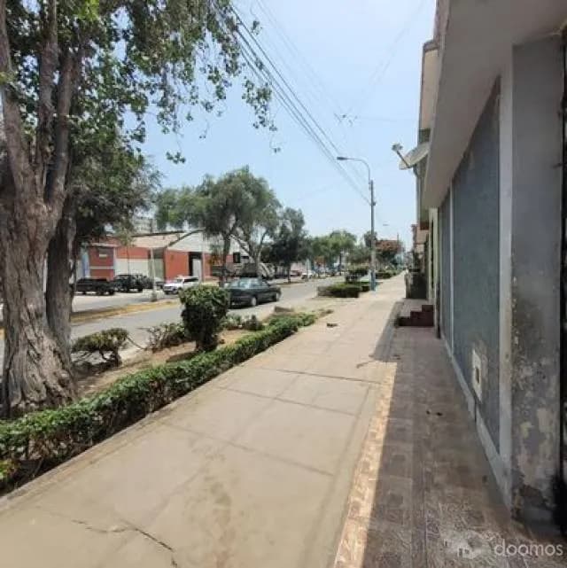 casa con negocio en plena avenida altamente comercial — foto 3