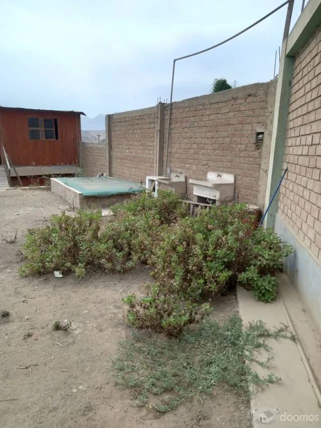 VENDO terreno entre Puente Piedra y Carabayllo — foto 5