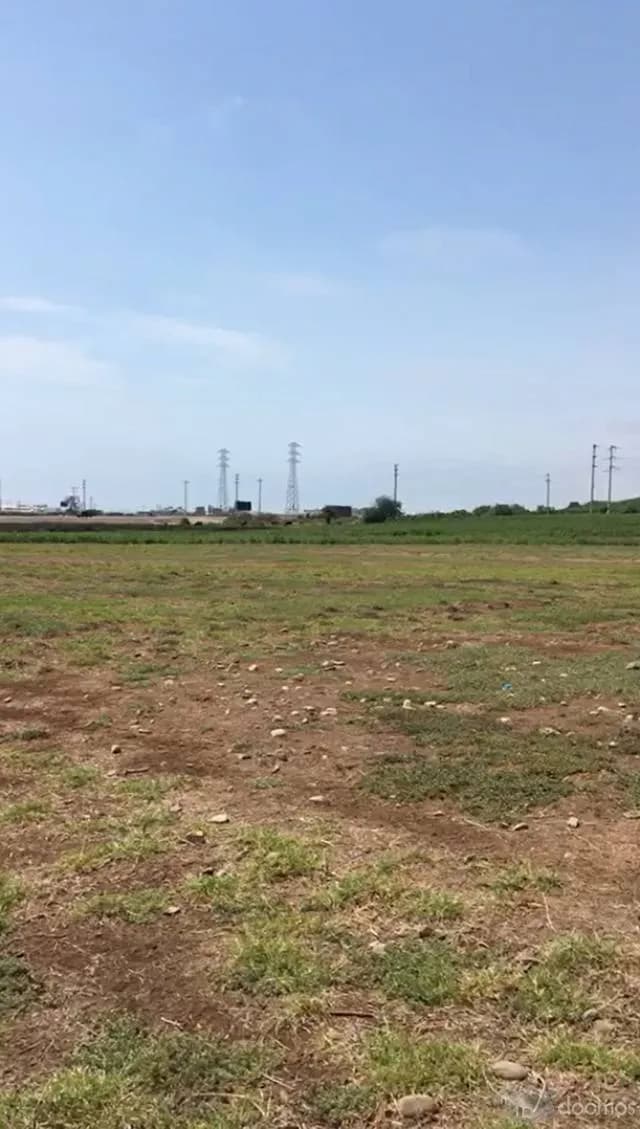 Vendo Terreno de 2.5 Hectareas en Chincha — foto 1