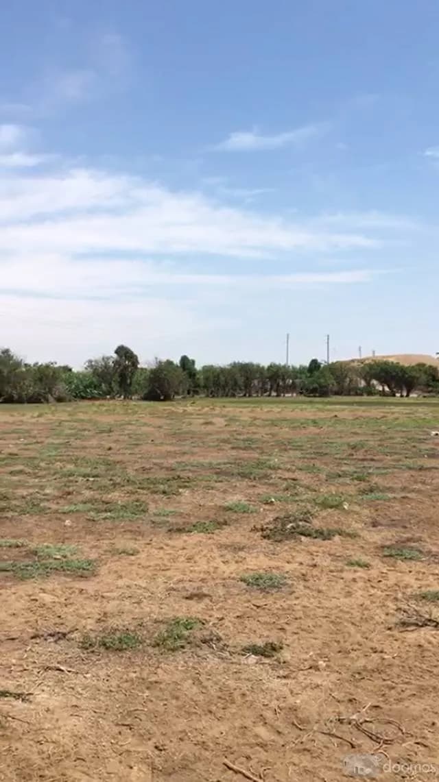 Vendo Terreno de 2.5 Hectareas en Chincha — foto 2