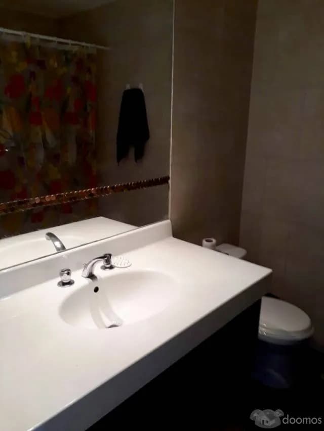 OCASIÓN VENTA DEPARTAMENTO POR VIAJE — foto 3