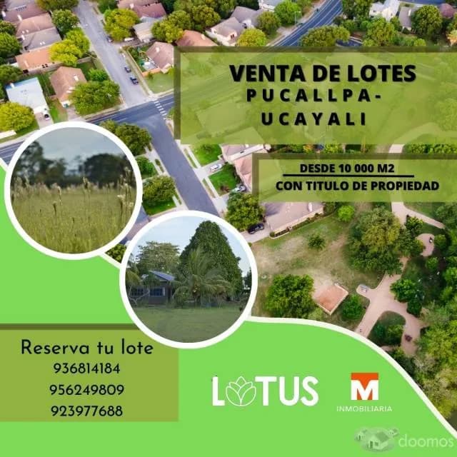 OCASIÓN: SE VENDE LOTE DE 10 000 M2 EN PUCALLPA — foto 1