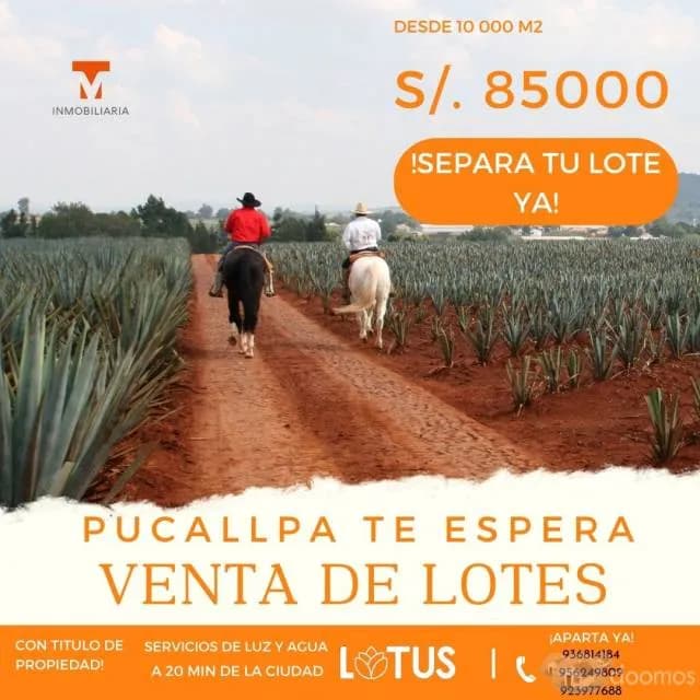 OCASIÓN: SE VENDE LOTE DE 10 000 M2 EN PUCALLPA — foto 3